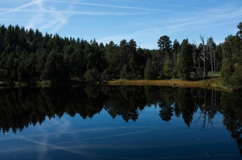 Living Timeless- Black Forest Style- Schoenwald 外观 照片